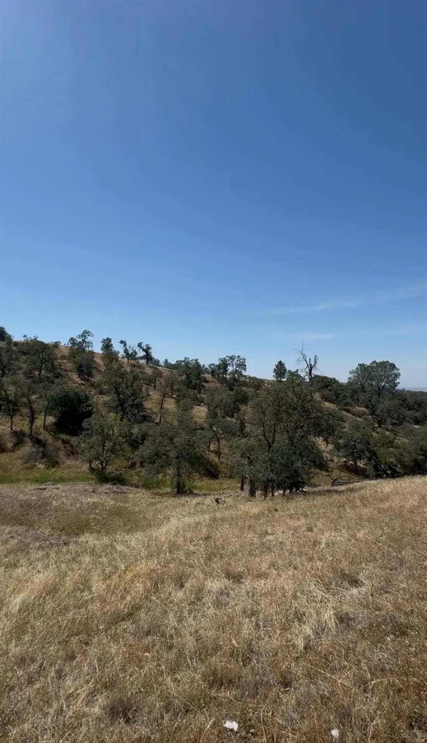 1578 Lilley Mountain, Coarsegold, CA 93614 - #3