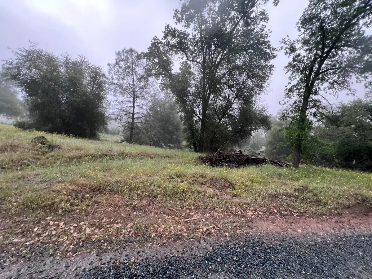 5 Glenn Baker Road, Ahwahnee, CA 93601 - #1