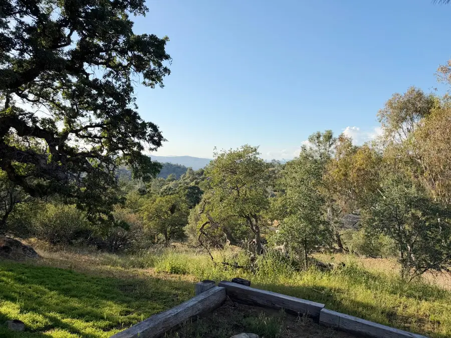 31336 N Dome Drive, Coarsegold, CA 93614 - #2