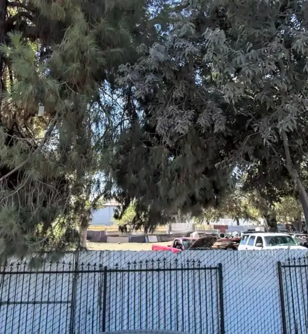 2012 E Clay Avenue, Fresno, CA 93701