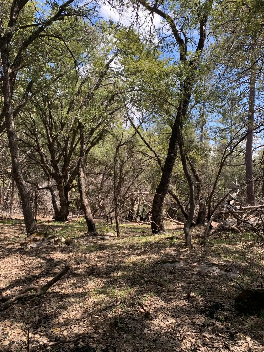 0 Auberry Road, Auberry, CA 93602 - #1