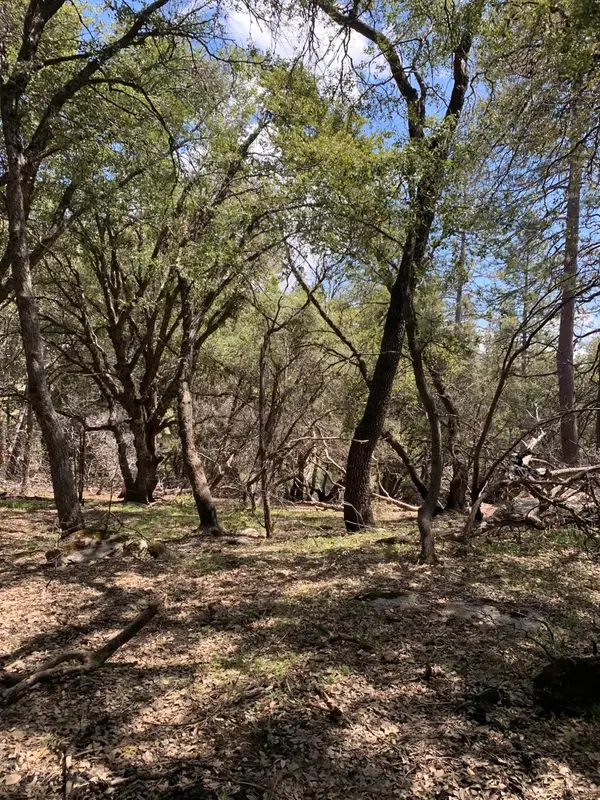 0 Auberry Road, Auberry, CA 93602