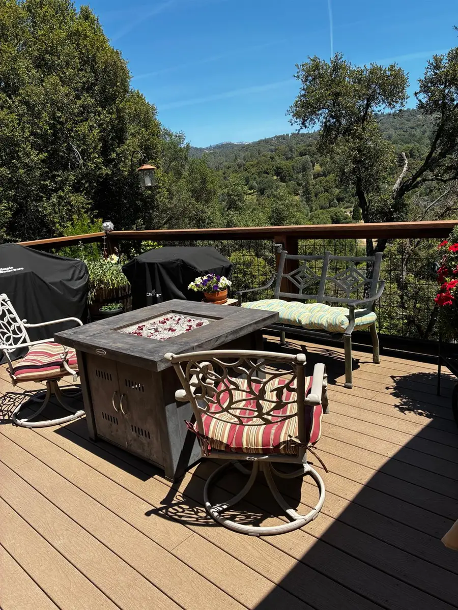 39309 Forest Park Lane, Oakhurst, CA 93644 - #3