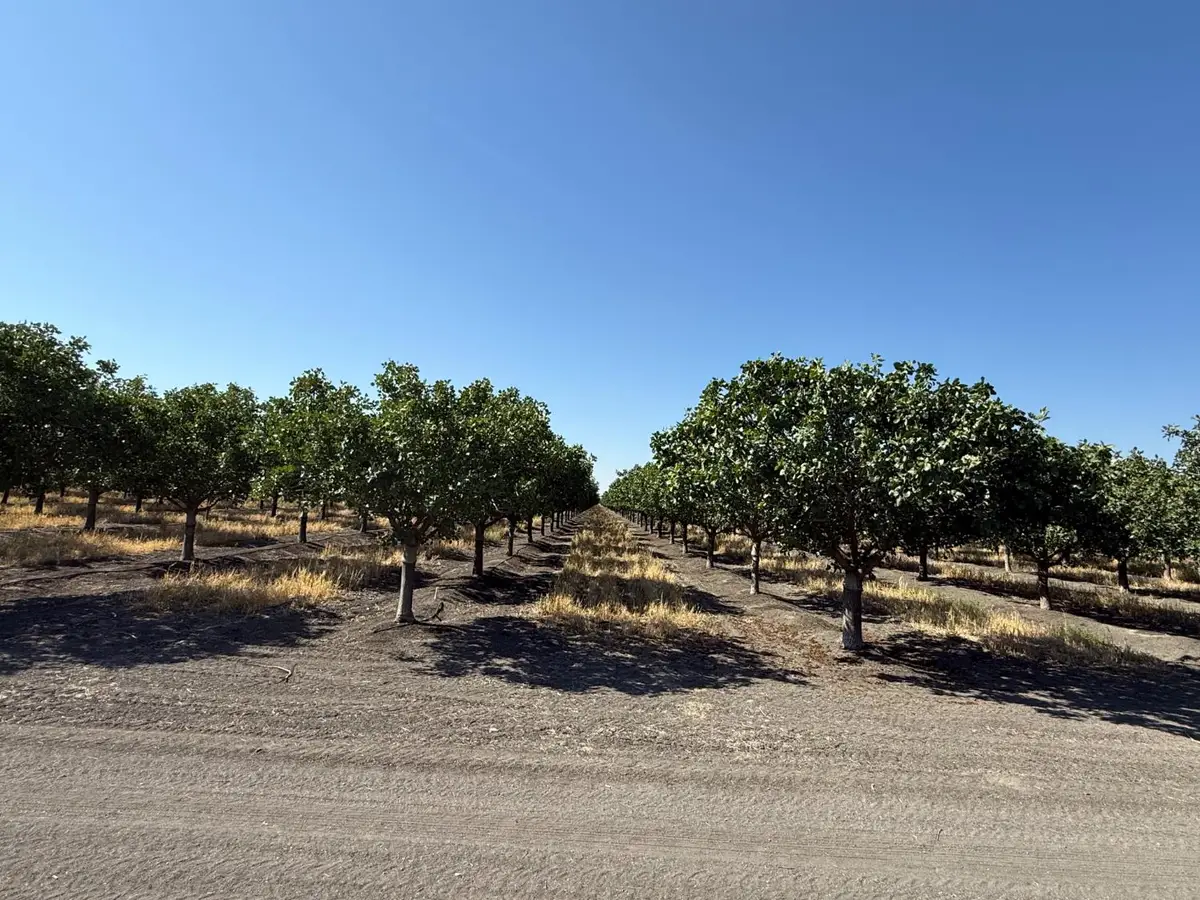 7000 W South Ave, Tranquillity, CA 93668 - #1