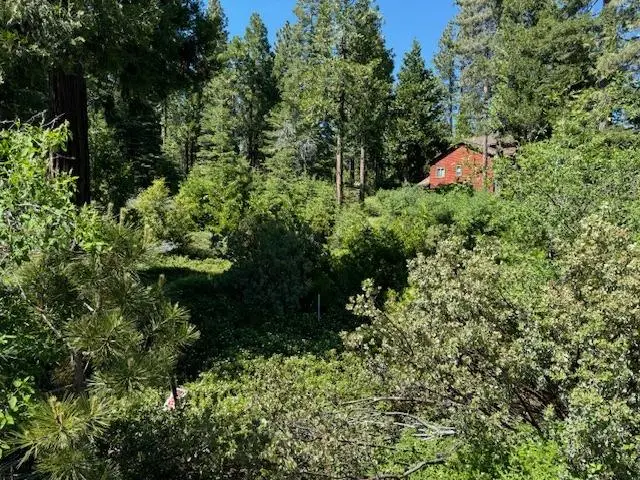 40902 Wild Iris Ln Lane, Shaver Lake, CA 93664 - #2