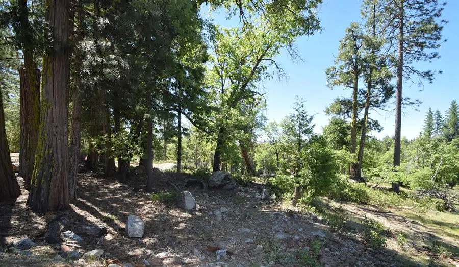 42352 Opal Lane #lot71, Shaver Lake, CA 93664 - #3