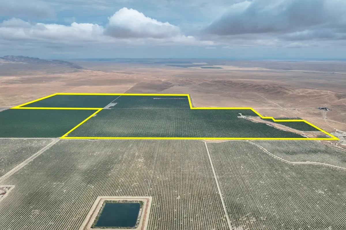 0 York Avenue, Avenal, CA 93204 - #1