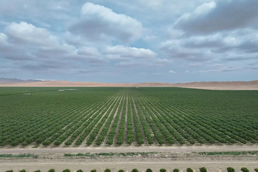 0 York Avenue, Avenal, CA 93204 - #2
