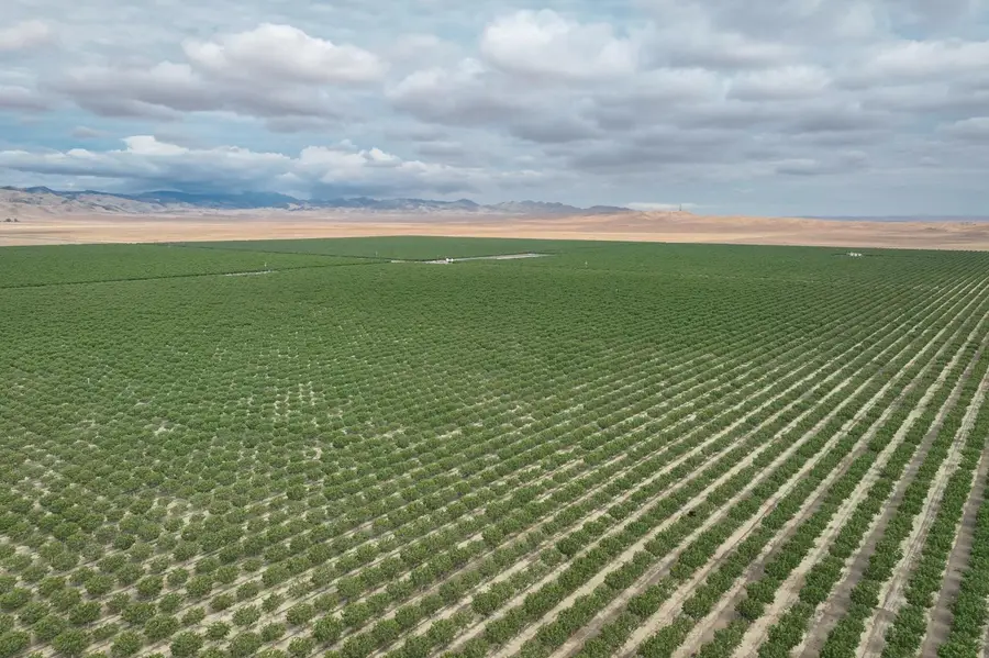 0 York Avenue, Avenal, CA 93204 - #3