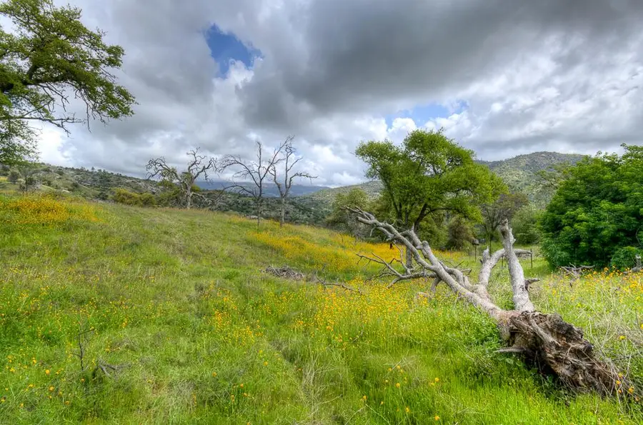 9 Pennyroyal, Prather, CA 93651 - #3