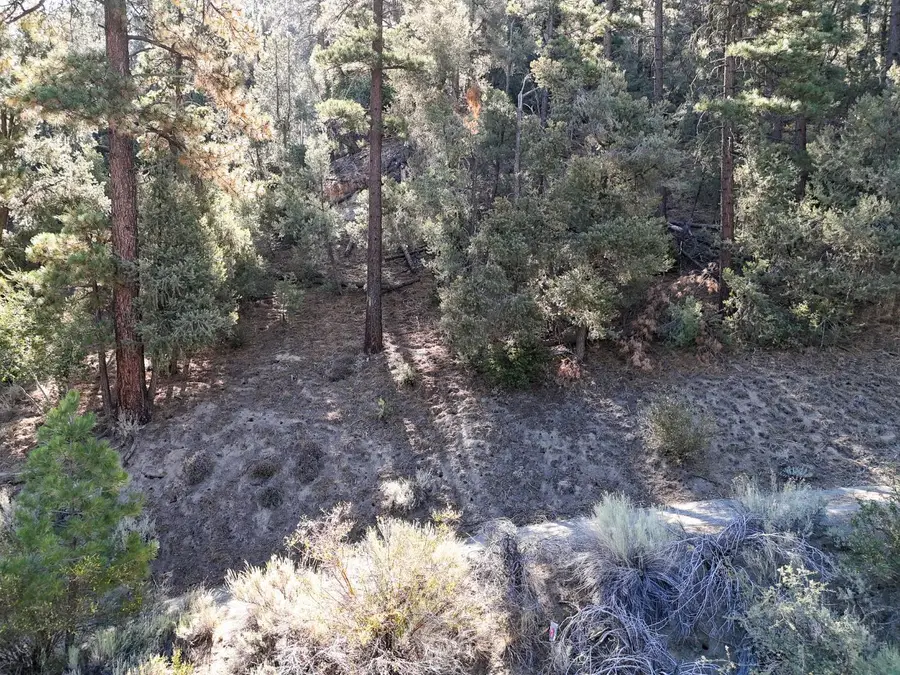 2000 Ironwood Drive, Frazier Park, CA 93222 - #3