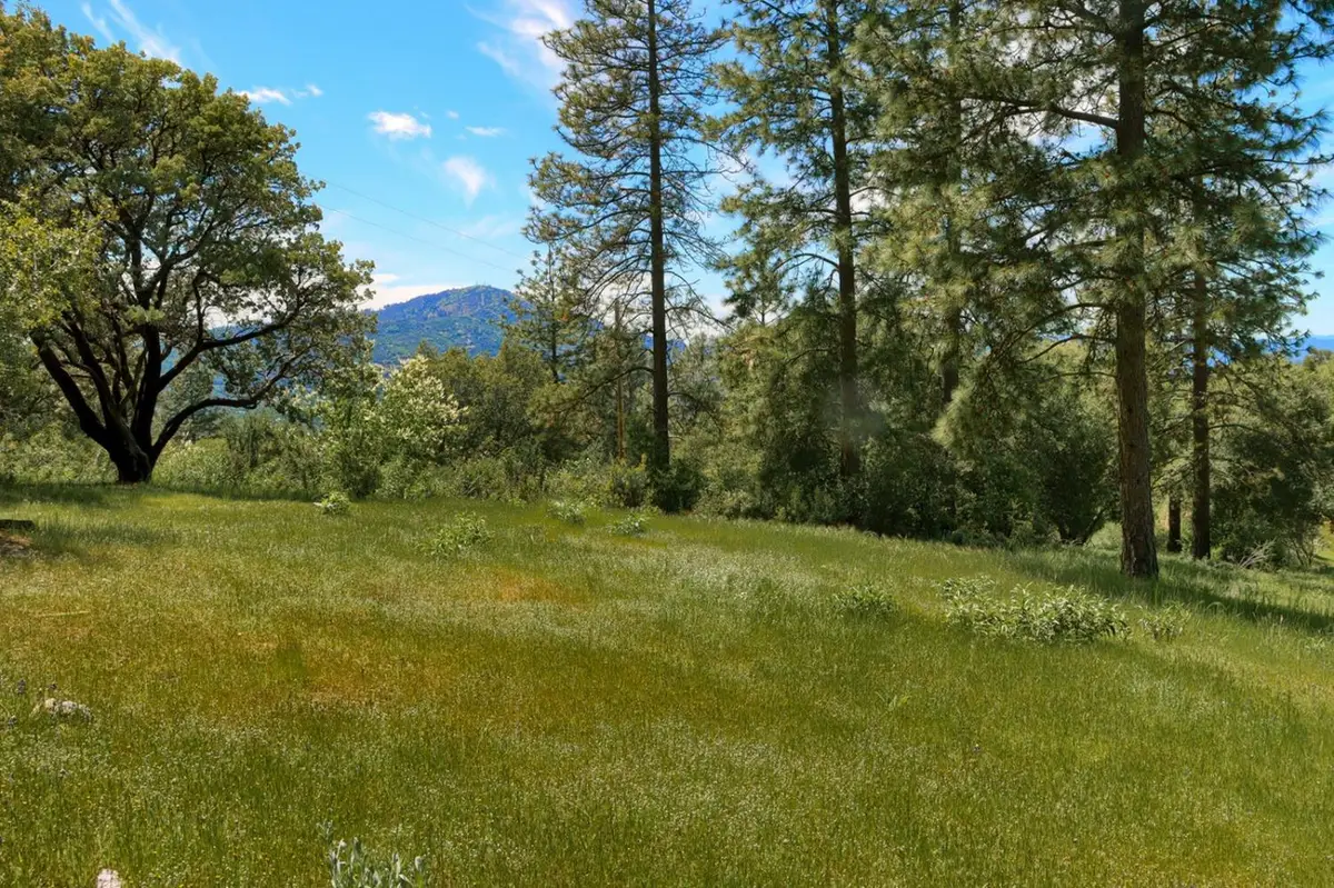 8 Timberwood Lane, Oakhurst, CA 93644 - #1