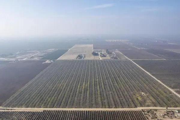 0 S Marks, Caruthers, CA 93609