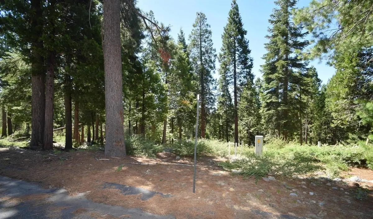 42036 Tourmaline Lane #103, Shaver Lake, CA 93664 - #1