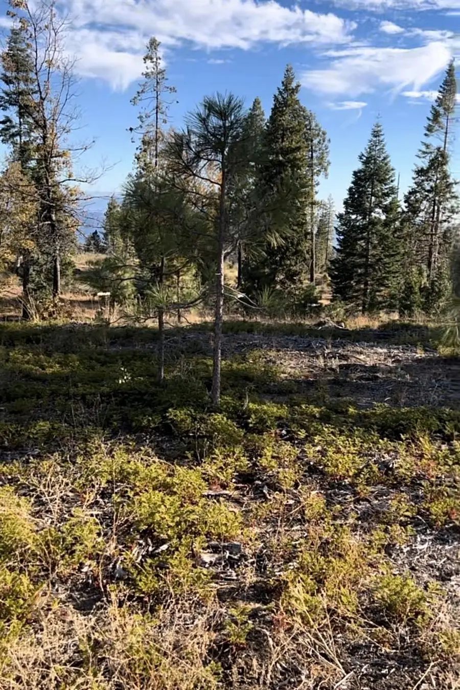 0 Shaver Lake, Auberry, CA 93602 - #3