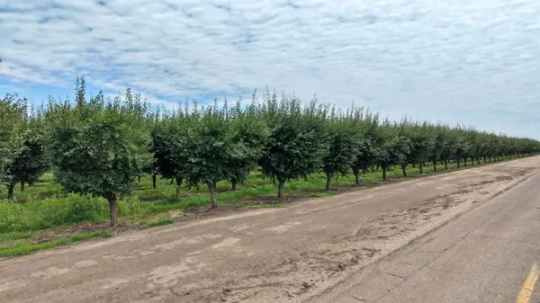 6539 Road 29, Madera, CA 93637
