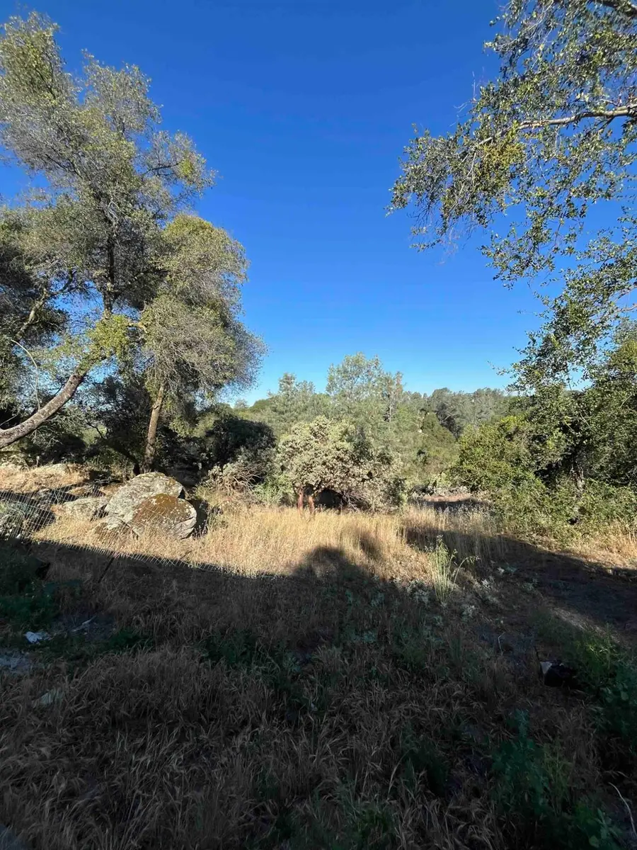 45990 Hawk Lane, Coarsegold, CA 93614 - #2