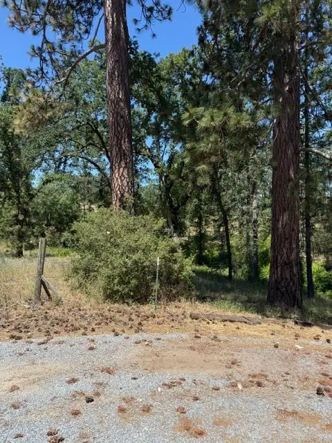 3764 Black Oak River Road, Oakhurst, CA 93644 - #1