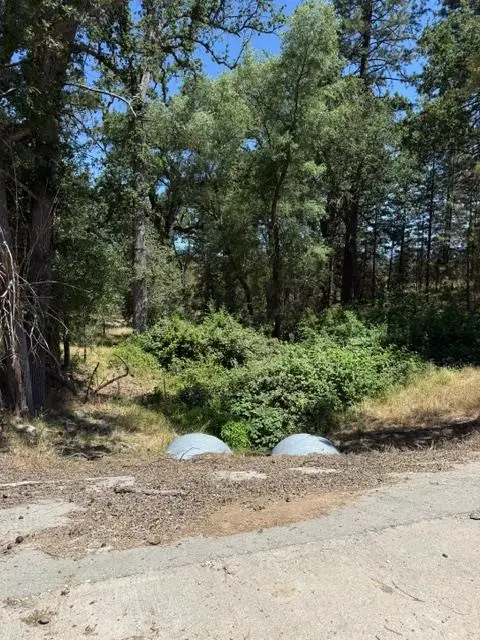 3764 Black Oak River Road, Oakhurst, CA 93644 - #2