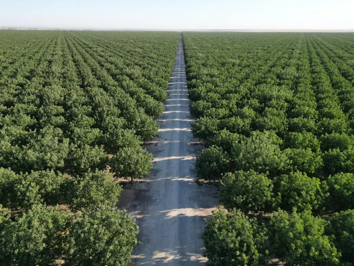 0 Avenue 16, Delano, CA 93215 - #1