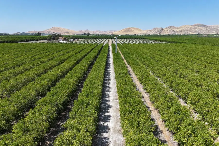0 Ave 208, Lindsay, CA 93247 - #3