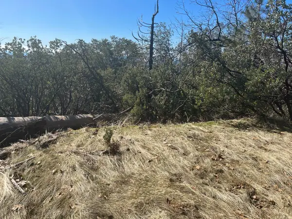 6225 Old Mill Road, Mariposa, CA 95338