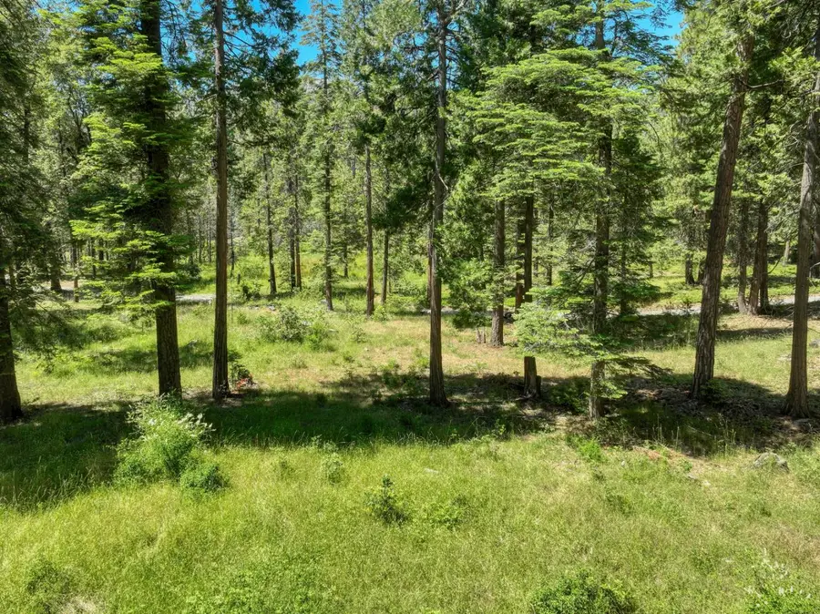 12345 Lower Cressman Road #CA, Shaver Lake, CA 93664 - #3