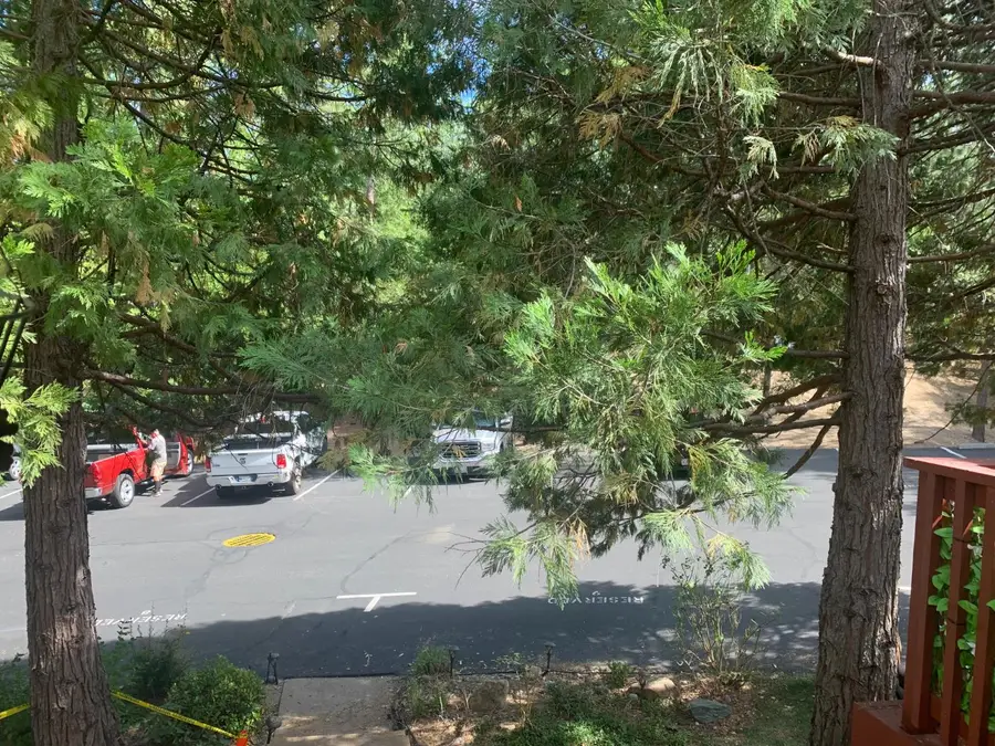 40513 Saddleback Rd, Bass Lake, CA 93604 - #3