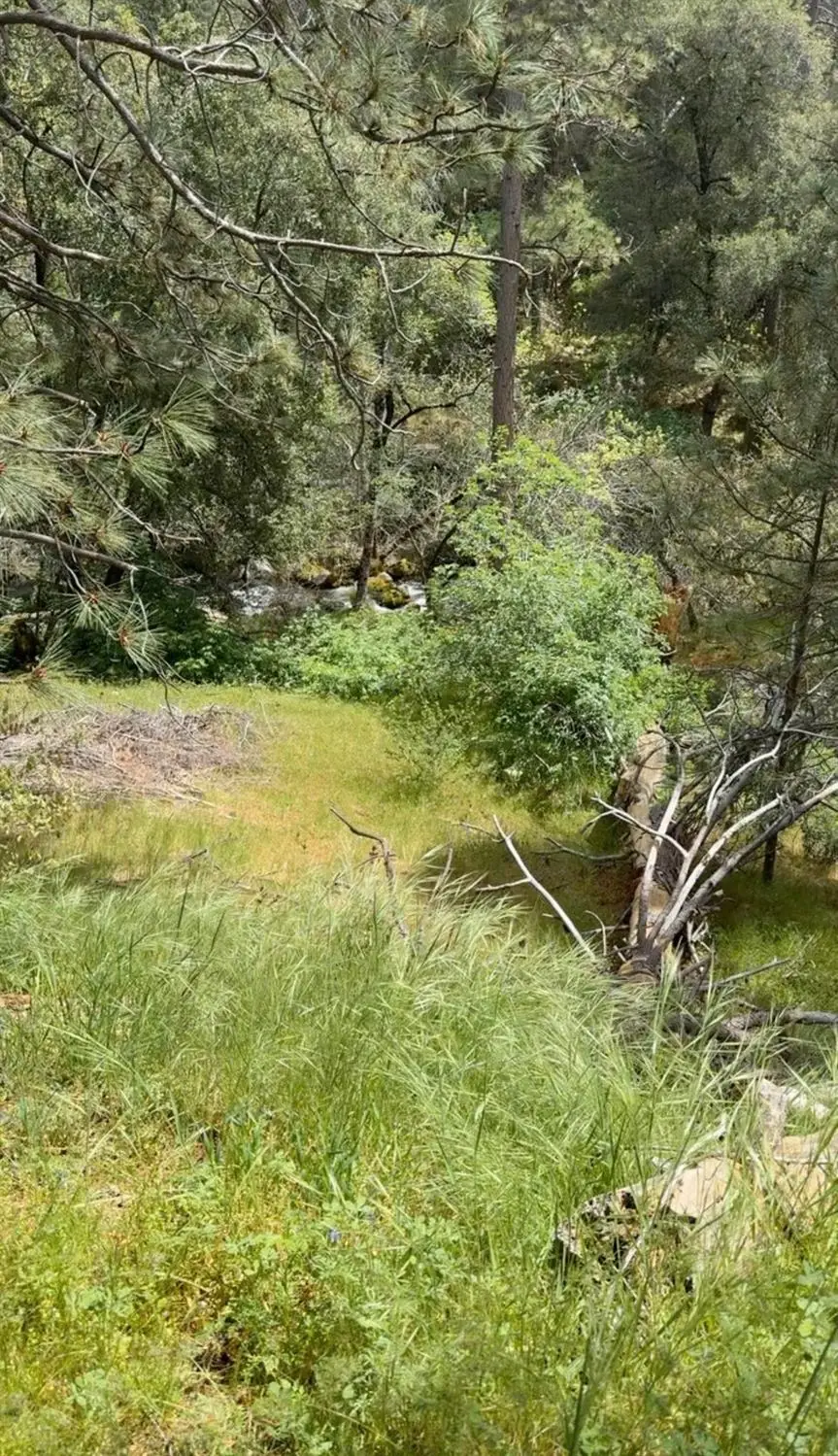 43929 Badger Hollow Trl, Oakhurst, CA 93644 - #3