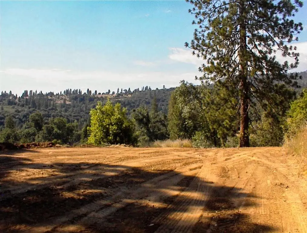 53333 Hwy 245, Pinehurst, CA 93641 - #1