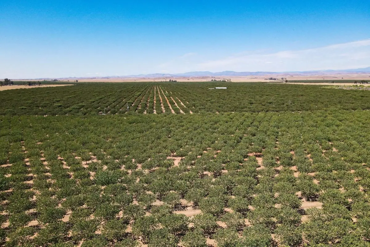5529 S Baxter Road, Planada Le Grand, CA 95333 - #1
