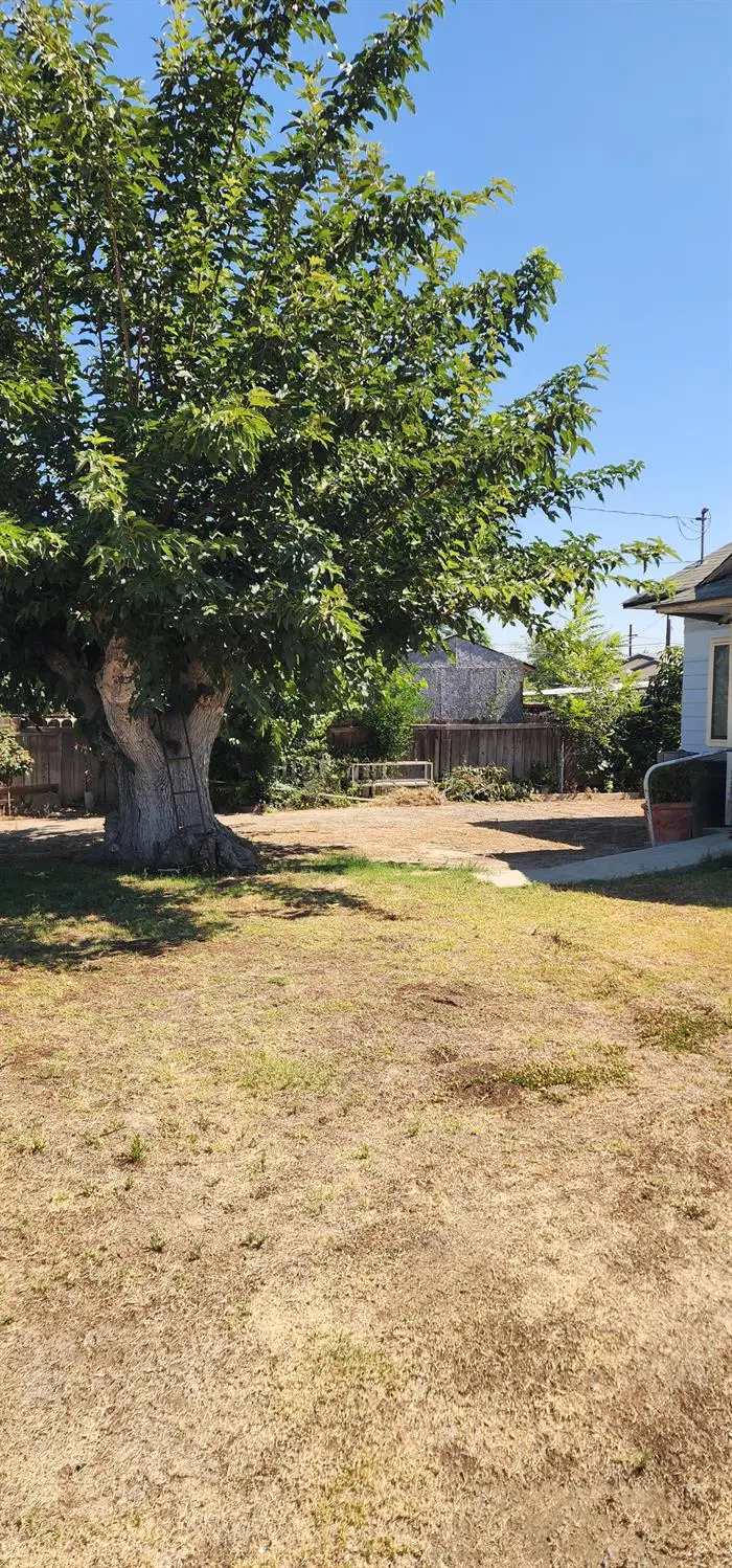 37774 Hunter Road, Dinuba, CA 93618 - #3