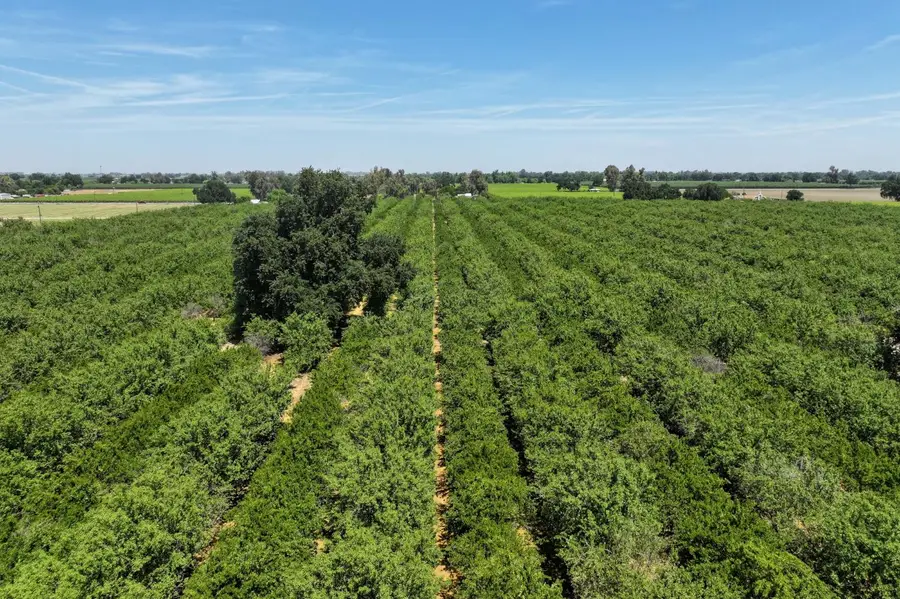 9415 21 1/2 Avenue, Lemoore, CA 93245 - #2