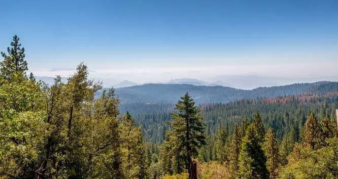 42629 Canyon Vista Lane, Shaver Lake, CA 93664 - #1
