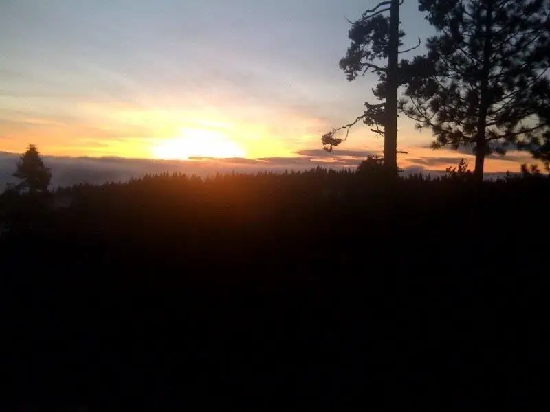 42629 Canyon Vista Lane, Shaver Lake, CA 93664 - #3