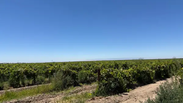 100 Bishop, Kerman, CA 93630