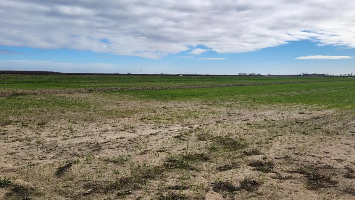 100 Mcmullin Grade, San Joaquin, CA 93660 - #1