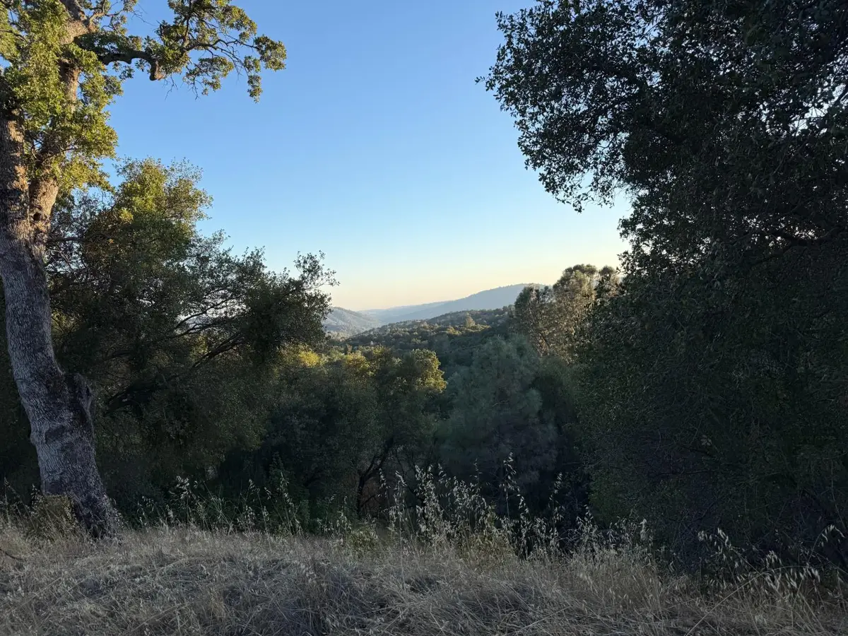 32289 Mountain Lane, North Fork, CA 93643 - #1