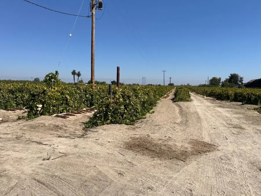 12575 S Academy Avenue, Selma, CA 93662 - #3