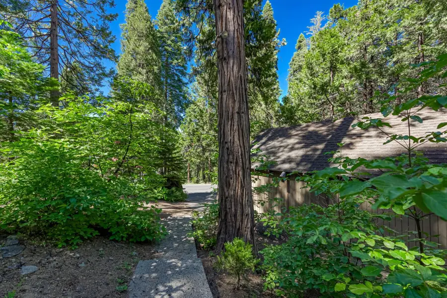 41922 Black Oak Way, Shaver Lake, CA 93664 - #3