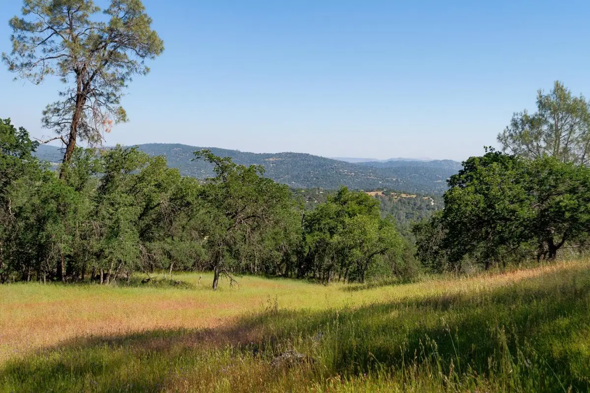 80 City View, Coarsegold, CA 93614 - #1
