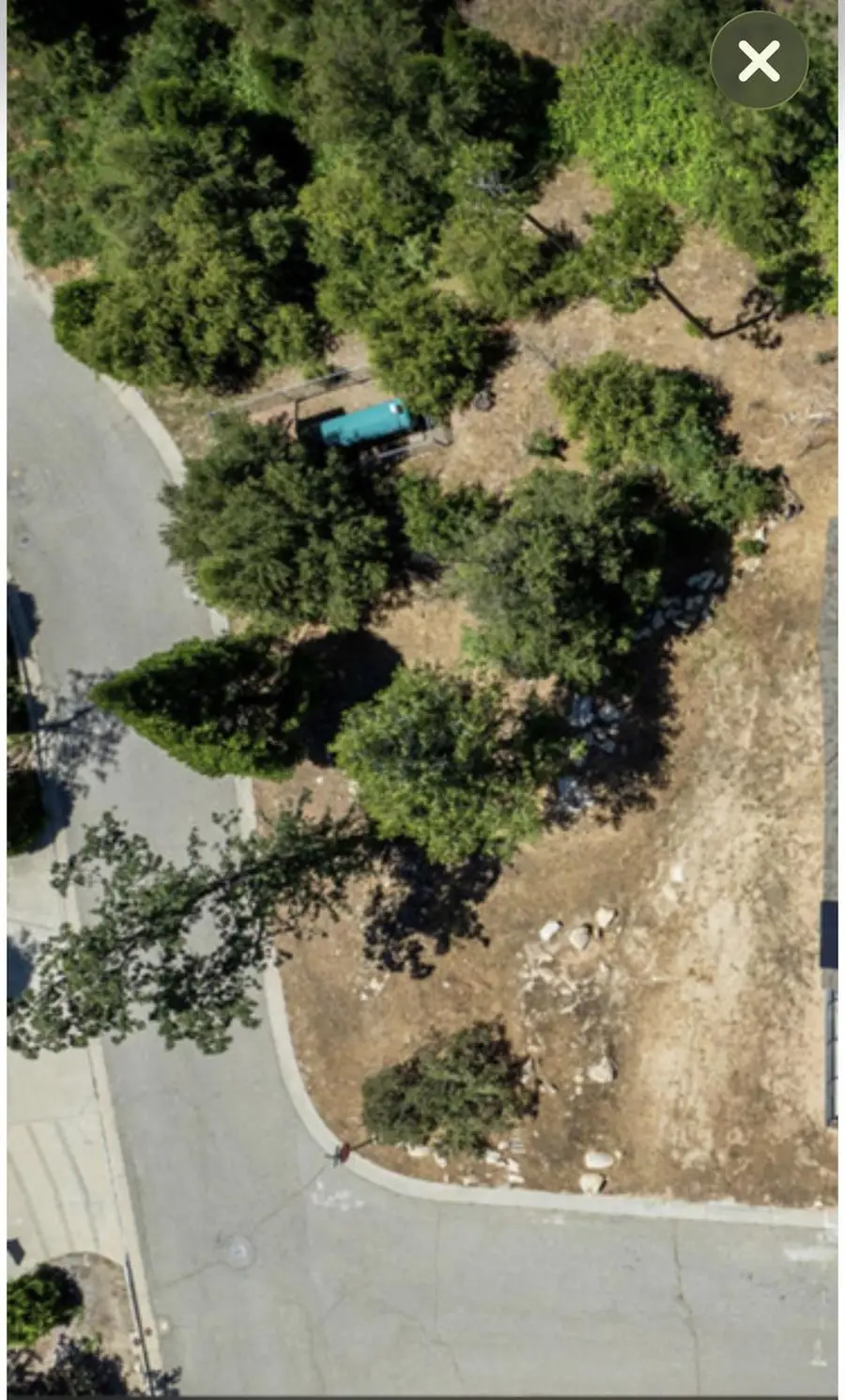 53974 Dogwood Creek Drive, Bass Lake, CA 93604 - #3