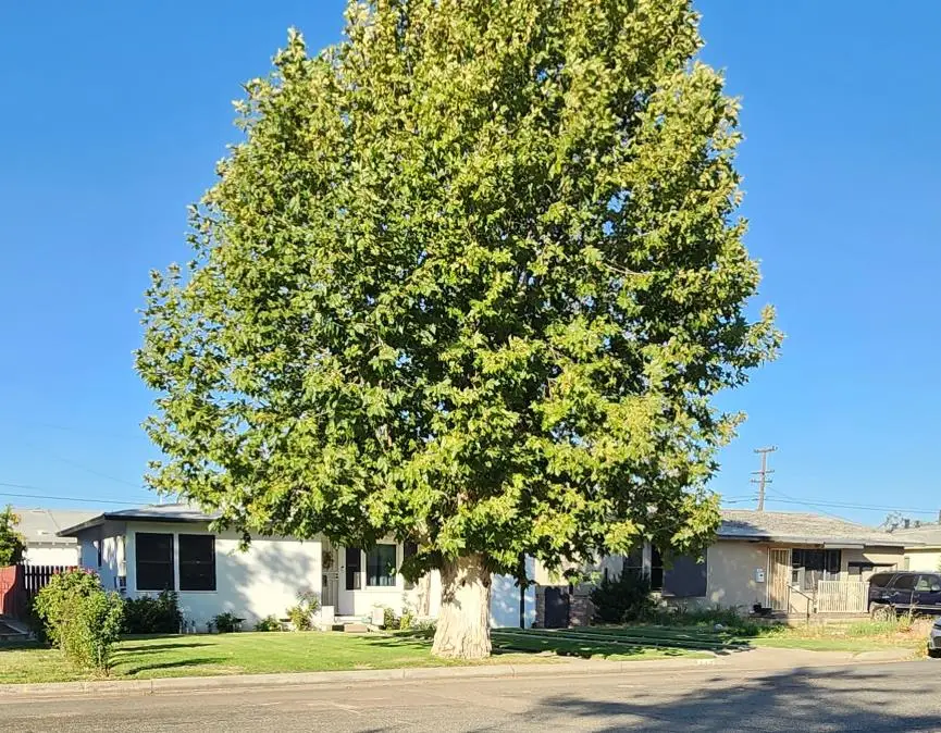 417 N O Street, Madera, CA 93637 - #1