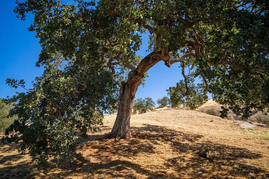 7 Mary Rebecca Ln, Friant, CA 93626 - #3