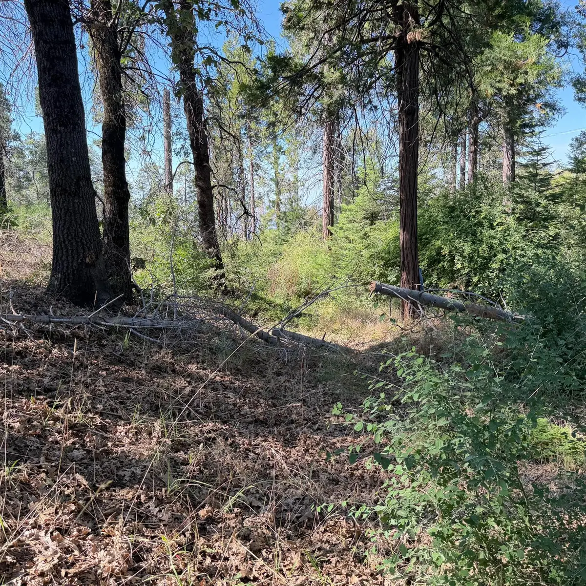 36070 Lower Cressman Road, Shaver Lake, CA 93664 - #1