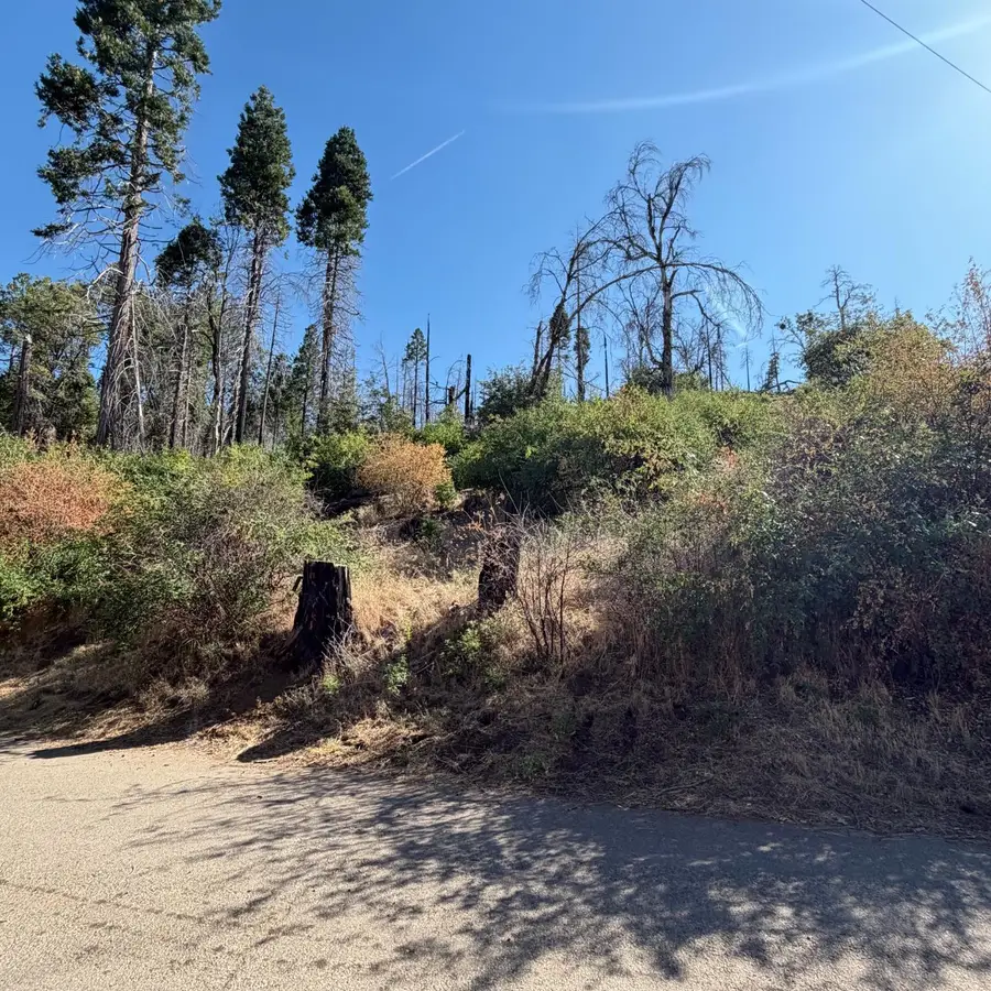 36070 Lower Cressman Road, Shaver Lake, CA 93664 - #3