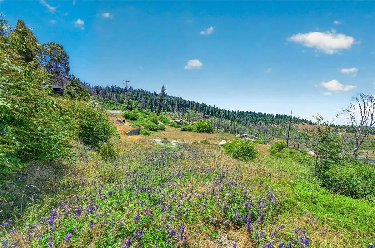 39588 Woodland Road, Shaver Lake, CA 93664 - #1