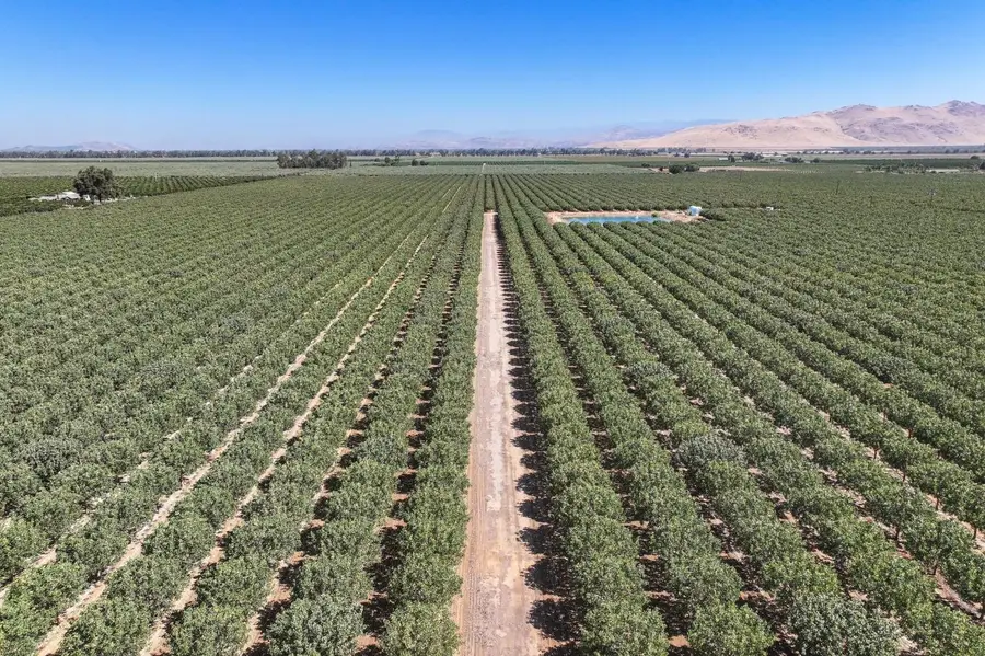 14464 Ave. 360, Visalia, CA 93292 - #2