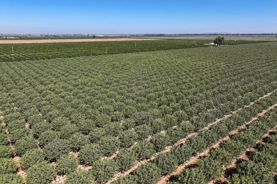 14464 Ave. 360, Visalia, CA 93292 - #3