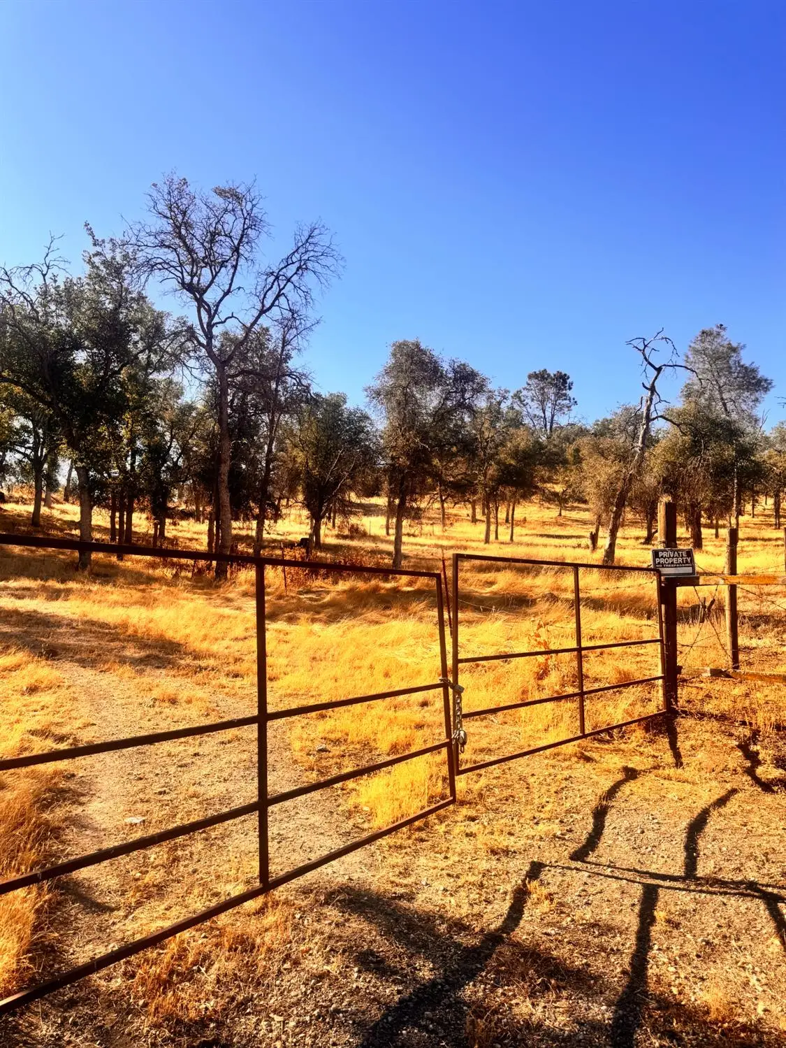 25388 White Thorne Road, Clovis, CA 93619 - #1